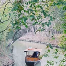西溪国家湿地公园 - 杭州市旅游 缩略图 3