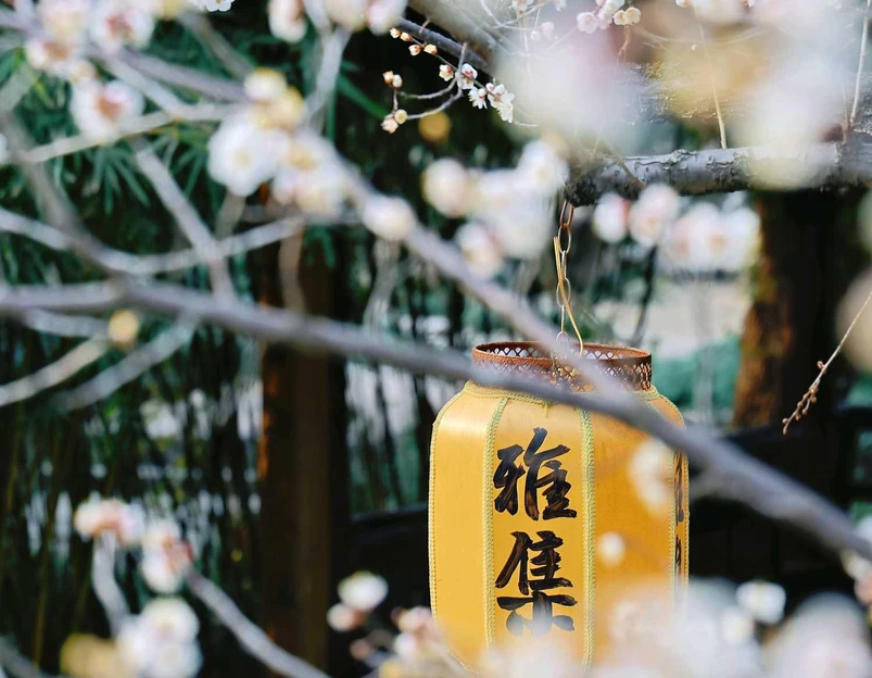 西溪国家湿地公园 - 杭州市旅游 1