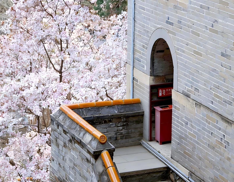 潭柘寺景区 - 北京市旅游 1