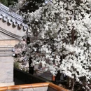 潭柘寺景区 - 北京市旅游 缩略图 7