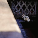 南安雪峰寺 - 泉州市旅游 缩略图 8