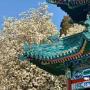 中山公园 - 北京市旅游 缩略图 2