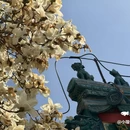 中山公园 - 北京市旅游 缩略图 7