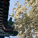 中山公园 - 北京市旅游 缩略图 5