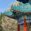 中山公园 - 北京市旅游 缩略图 1