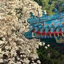 中山公园 - 北京市旅游 缩略图 8
