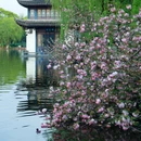 婺城区逸境·宋酒店(古子城步行街店) - 金华市旅游 缩略图 1