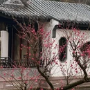 婺城区逸境·宋酒店(古子城步行街店) - 金华市旅游 缩略图 2