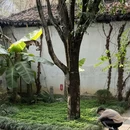 婺城区逸境·宋酒店(古子城步行街店) - 金华市旅游 缩略图 6