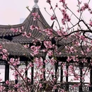 莫愁湖公园 - 南京市旅游 缩略图 4