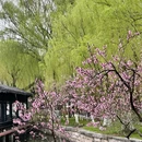 莫愁湖公园 - 南京市旅游 缩略图 3