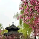 莫愁湖公园 - 南京市旅游 缩略图 6