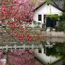 莫愁湖公园 - 南京市旅游 缩略图 7