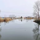 盐城市净土古寺 - 盐城市旅游 缩略图 2