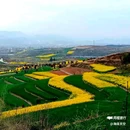 陈村油菜花 - 汉中市旅游 缩略图 8