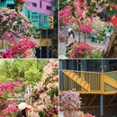 学山永泰里 - 广州市旅游 缩略图 1