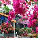 学山永泰里 - 广州市旅游 缩略图 5