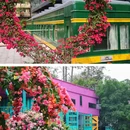 学山永泰里 - 广州市旅游 缩略图 6
