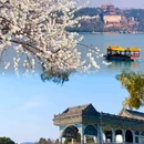 颐和园 - 北京市旅游 缩略图 5