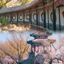 颐和园 - 北京市旅游 缩略图 1