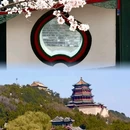 颐和园 - 北京市旅游 缩略图 6