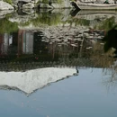 艺圃 - 苏州市旅游 缩略图 6