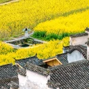 西递古村落售票处 - 黄山市旅游 缩略图 7
