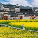 西递古村落售票处 - 黄山市旅游 缩略图 9