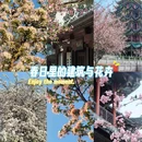 宜必思重庆解放碑步行街酒店 - 重庆市旅游 缩略图 1