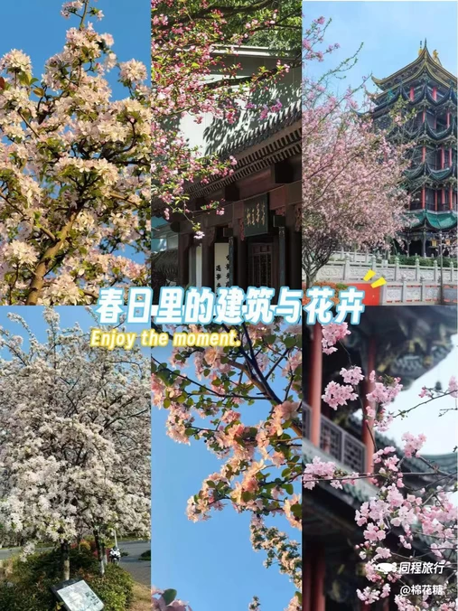 宜必思重庆解放碑步行街酒店 - 重庆市旅游
