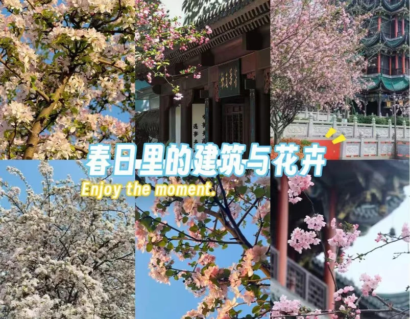 宜必思重庆解放碑步行街酒店 - 重庆市旅游 1