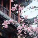 宜必思重庆解放碑步行街酒店 - 重庆市旅游 缩略图 4