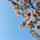 宜必思重庆解放碑步行街酒店 - 重庆市旅游 缩略图 5