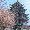 宜必思重庆解放碑步行街酒店 - 重庆市旅游 缩略图 7