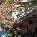 宜必思重庆解放碑步行街酒店 - 重庆市旅游 缩略图 2