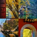泰安溪美隐居酒店(泰山岱庙店) - 泰安市旅游 缩略图 1