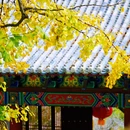 泰安溪美隐居酒店(泰山岱庙店) - 泰安市旅游 缩略图 7