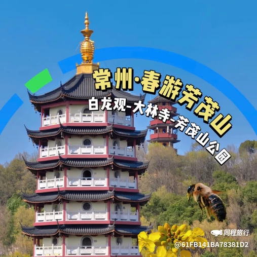 华尔润智能酒店(常州新北区奔牛机场店) - 常州旅游