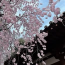 青龙寺 - 西安市旅游 缩略图 7