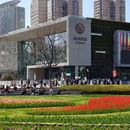 上海自然博物馆(上海科技馆分馆) - 上海市旅游 缩略图 6