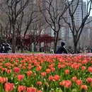 上海自然博物馆(上海科技馆分馆) - 上海市旅游 缩略图 5