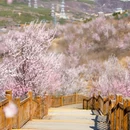 宝林寺 - 北京市旅游 缩略图 2