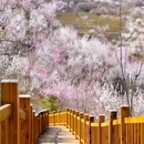 宝林寺 - 北京市旅游 缩略图 4