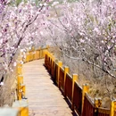 宝林寺 - 北京市旅游 缩略图 5