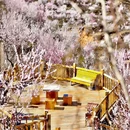 宝林寺 - 北京市旅游 缩略图 1