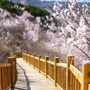 宝林寺 - 北京市旅游 缩略图 7