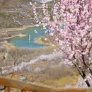 宝林寺 - 北京市旅游 缩略图 9