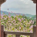 麓湖公园 - 广州市旅游 缩略图 3