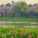 麓湖公园 - 广州市旅游 缩略图 5