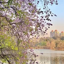 麓湖公园 - 广州市旅游 缩略图 4